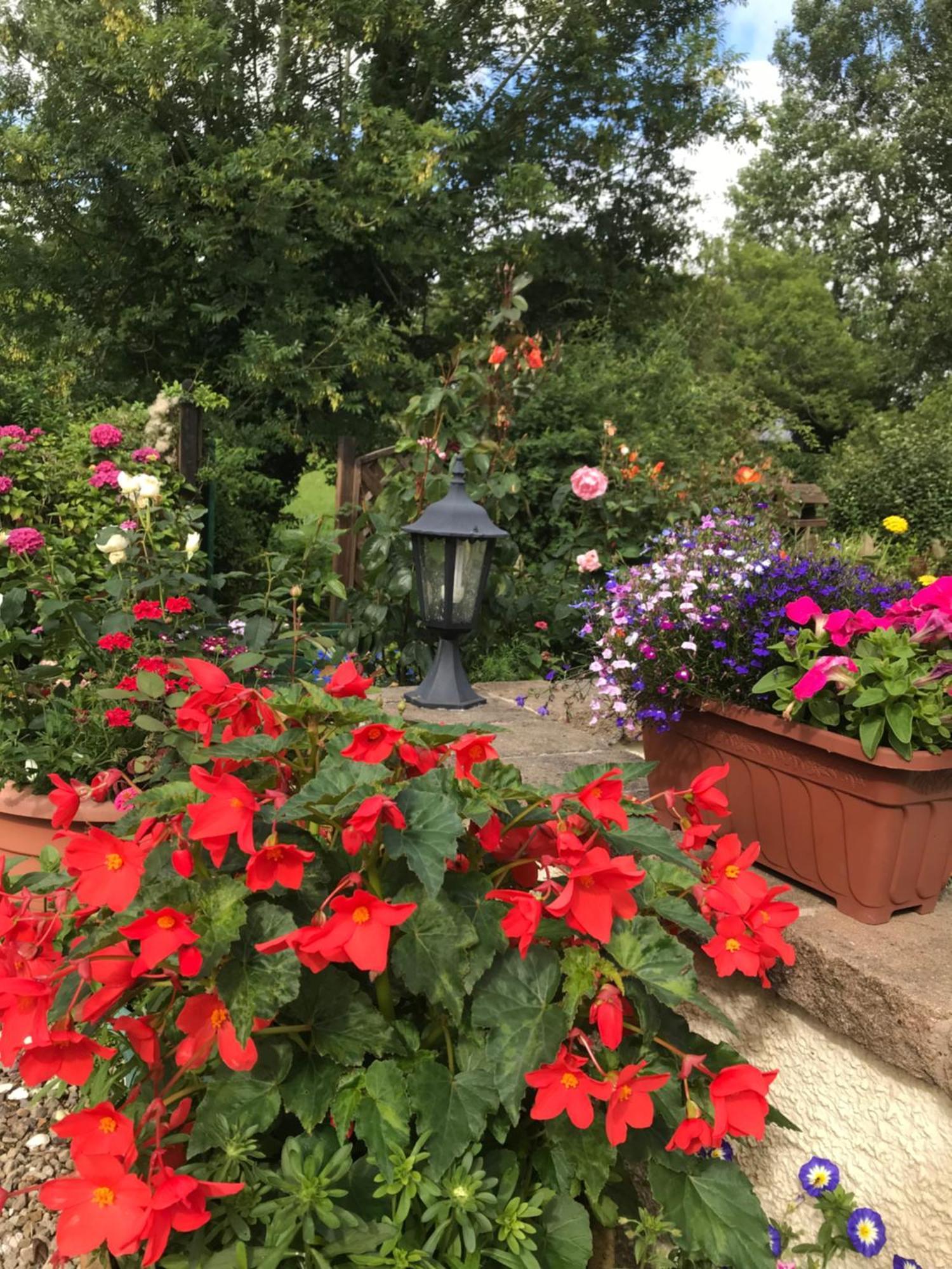 Bed and Breakfast Old Mill House Larne Zewnętrze zdjęcie